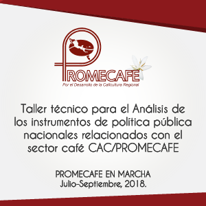 Taller técnico para el Análisis de los instrumentos de política pública nacionales relacionados con el sector café CAC/PROMECAFE