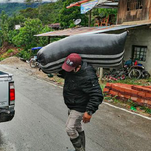 Caficultores de Perú mantienen ritmo en sus ventas durante la cuarentena