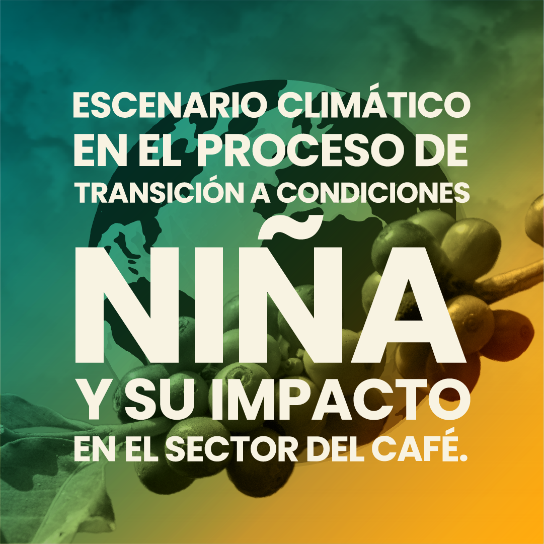 Escenario Climático en proceso de transición a Niña y su impacto en el sector de Café