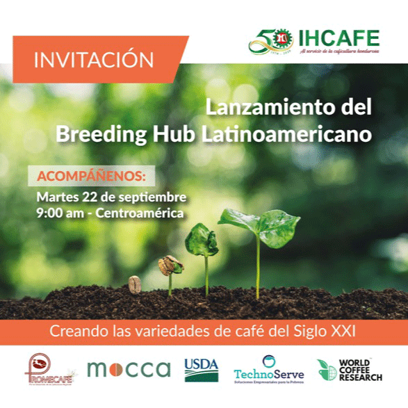 Breeding hub latinoamericano